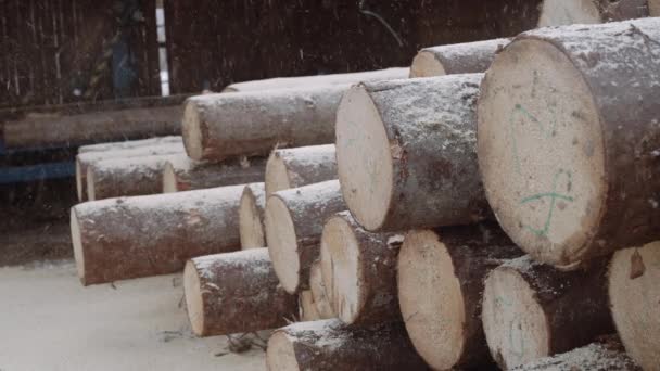 Fűrészpor esik fa naplók verem a fűrésztelep számok jelölőkkel - Felvétel, videó