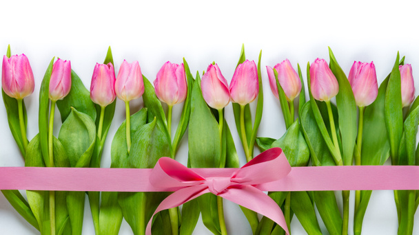 Vista superior de tulipas rosa dispostas em linha, envolto com fita rosa sobre fundo branco
. - Foto, Imagem