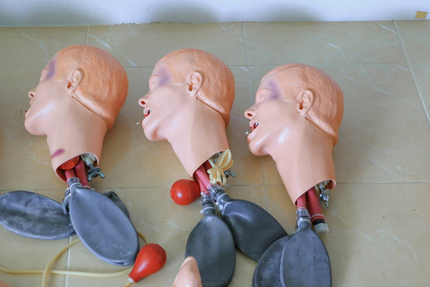 head and windpipe dummy for CPR medical refresher  training to assist of physician - Photo, Image