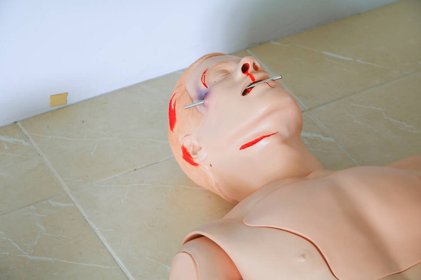 mannequin pour la formation de recyclage médical CPR pour aider le médecin
 - Photo, image