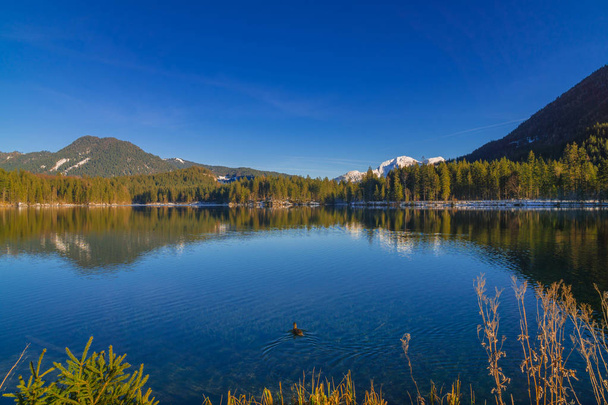 A tó hátország (korábbi tó Ferchen vagy tó Forchen) egy tó, a kerület Ramsau a Berchtesgaden Alpok, Németország. - Fotó, kép