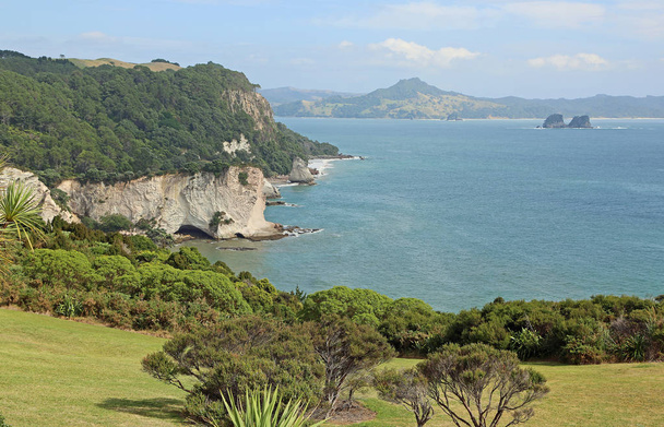 Cathedral Cove Marine Reserve - east coast of Coromandel peninsula, new Zealand - 写真・画像