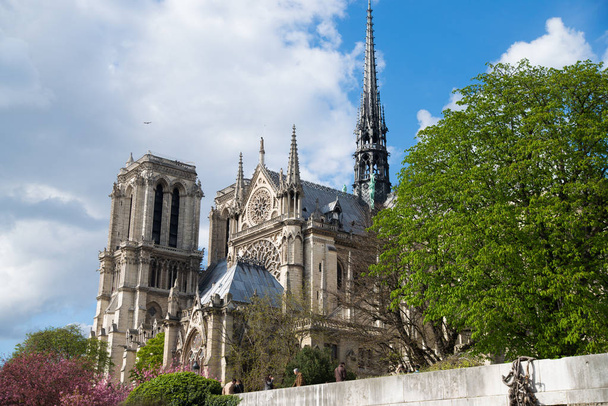 die Kathedrale Notre-Dame in Paris - Foto, Bild