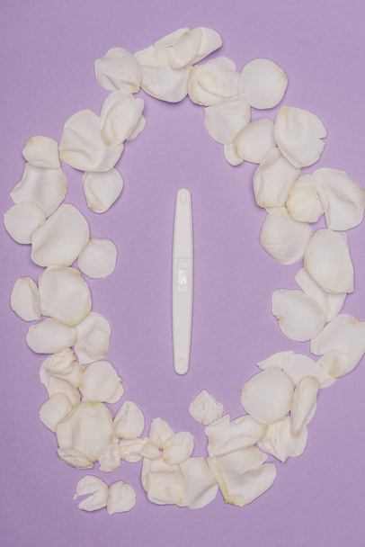 top view of arranged petals and pregnancy test isolated on purple - Photo, Image