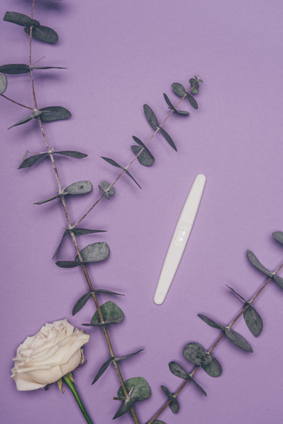 bovenaanzicht van gearrangeerde zwangerschapstest, bloem en groene eucalyptus bladeren geïsoleerd op paars  - Foto, afbeelding