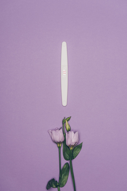 top view of arranged pregnancy test and flowers with green leaves isolated on purple  - Fotografie, Obrázek