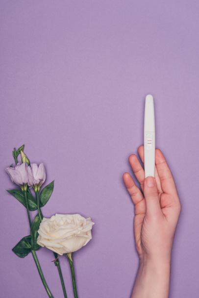 cropped shot of woman holding pregnancy test in hand and flowers isolated on purple  - Φωτογραφία, εικόνα
