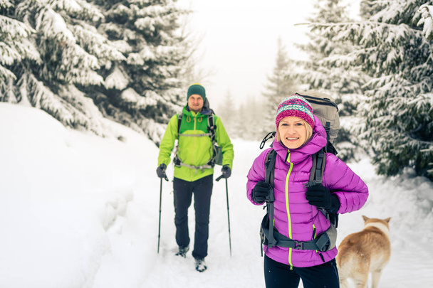 Mutlu takım çalışması kaç yürüyüşçü beyaz kış woods ve dağlarda trekking. Kamp ve yürüyüş, Polonya ve karlı iz sırt çantaları ile sağlıklı yaşam macera, yürüyen genç insanlar. - Fotoğraf, Görsel