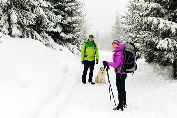 Beyaz kış woods ve dağlarda trekking erkek ve kadın mutlu takım çalışması kaç yürüyüşçü. Kamp ve yürüyüş, Polonya ve karlı iz sırt çantaları ile sağlıklı yaşam macera, yürüyen genç insanlar. - Fotoğraf, Görsel
