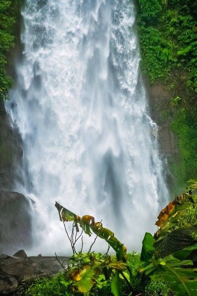Small waterfall in the dense jungle  - Foto, Imagem
