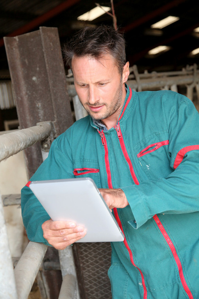 Farmer in barn using electronic tablet - Foto, afbeelding
