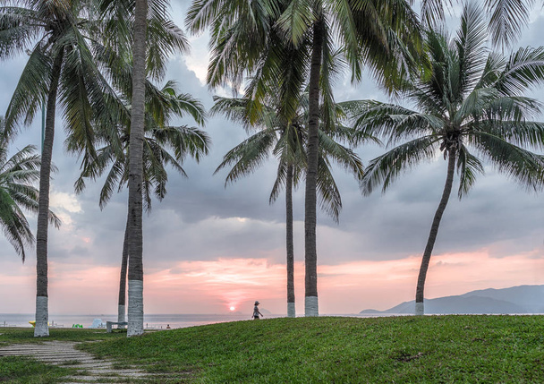 ベトナム。ニャチャン。朝早く。高いヤシの木と昇る太陽を背にビーチを歩いている人のシルエット. - 写真・画像