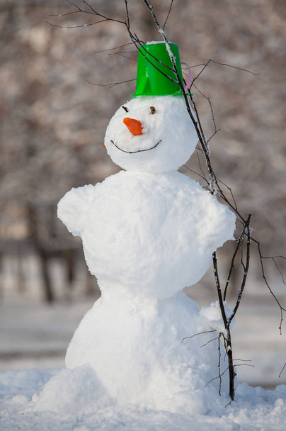 Веселий сніговик у парку
. - Фото, зображення