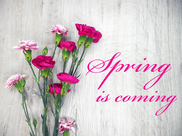 Pink flowers on a wooden light background spring is coming - Photo, Image