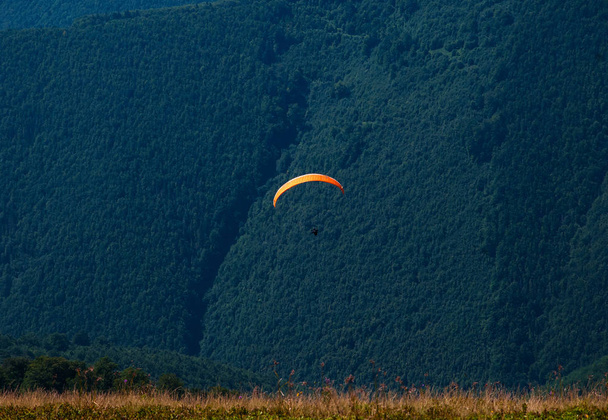 Parapente survole une vallée de montagne par une journée d'été ensoleillée
.  - Photo, image