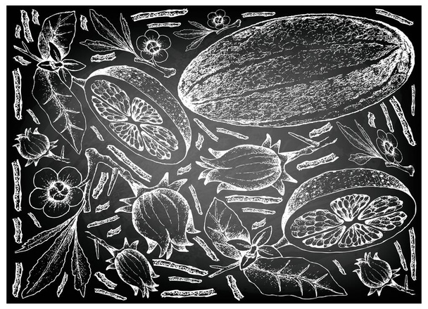 Disegnato a mano di frutta fresca su sfondo bianco
 - Vettoriali, immagini