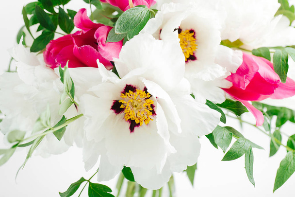 Bouquet of white peonies and pink tulips in glass vase on white background - Photo, Image