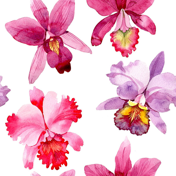 Wildflower pink orchid flower pattern in a watercolor style. - Foto, imagen