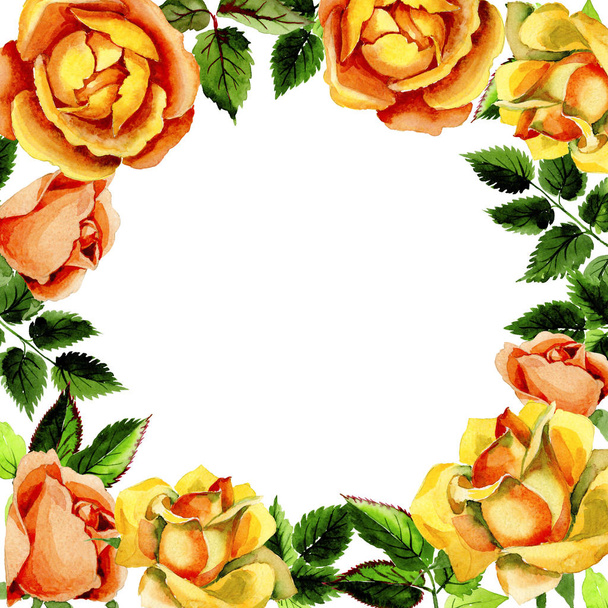 Wildflower rose flower pattern in a watercolor style. - Foto, Imagen