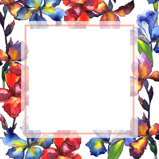 Wildflower iris flower frame in a watercolor style. - Valokuva, kuva