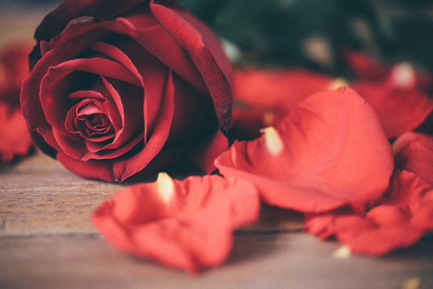 Red rose flower on wooden floor in Valentine 's Day
 - Фото, изображение
