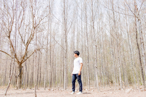 Een Aziatische jongen in witte casual en jeans broek staan alleen in het droge bos in Thailand. - Foto, afbeelding