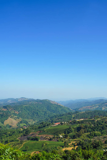 Doğa görünümü dağ, orman ve mavi gökyüzü - Fotoğraf, Görsel