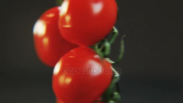 Tomaatit pyörivät mustalla taustalla. Punaiset hedelmät liikkuvat ympyrää. Lähemmäs. Kuvattu punaisella eepoksella
 - Materiaali, video