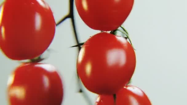 Tomaatit pyörivät valkoisella taustalla. Punaiset hedelmät liikkuvat ympyrää. Lähemmäs. Kuvattu punaisella eepoksella
 - Materiaali, video