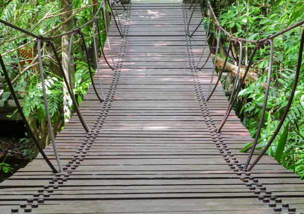 felfüggesztés fa híd sétány az erdő - Fotó, kép