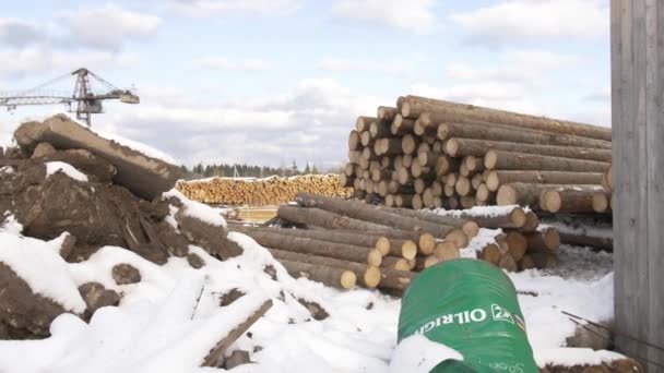 Serraria estacas armazenadas de materiais de árvores de madeira cobertas de neve
 - Filmagem, Vídeo
