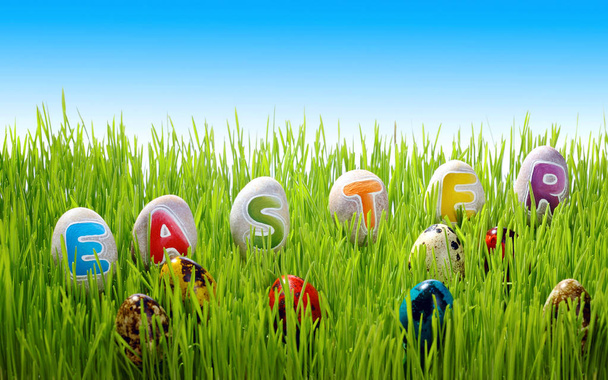 Colorful Easter eggs and stones wth inscription easter in a field of grass .Blue sky.Greetings card of Easter. Quail colored eggs - Photo, Image