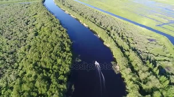 澄んだ水の湖や緑の森。ロシアでオネガ湖。Onejskoe 湖。空中ドローン エアロ. - 映像、動画