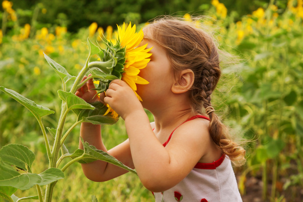 Kind und Sonnenblume - Foto, Bild
