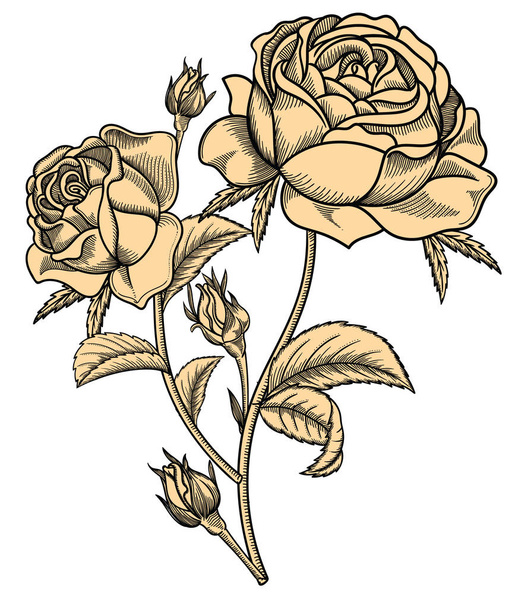 ベクトルの葉と花のイラスト。スケッチ スタイルの非常に詳細な花を。デザインのエレガントな花飾り。構成のすべての要素が各グループに区切られています. - ベクター画像