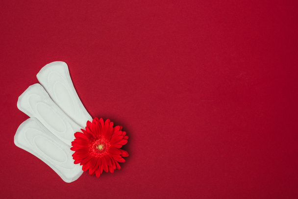 top view of arranged menstrual pads and flower isolated on red - Foto, imagen