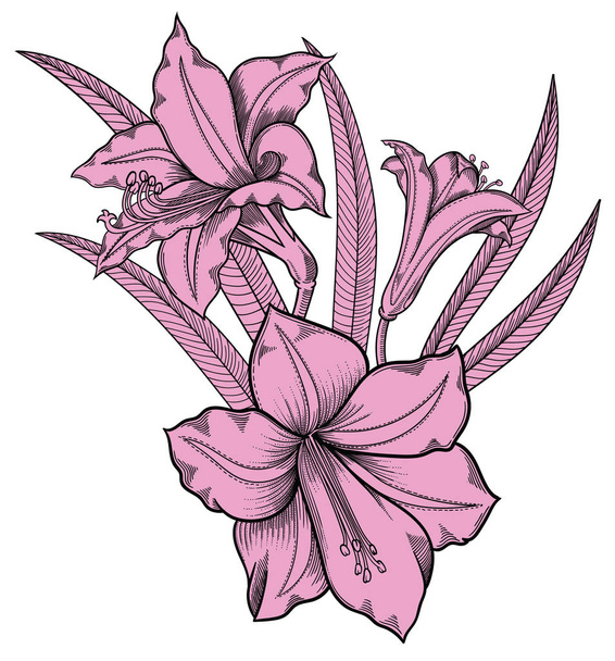 vector illustration of  flowers with leaves.Very detailed flowers in sketch style.Elegant floral decoration for design. All elements of composition are separated in each group. - Διάνυσμα, εικόνα