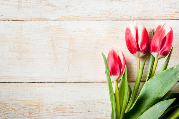 Pozadí s Tulipán květy - Fotografie, Obrázek