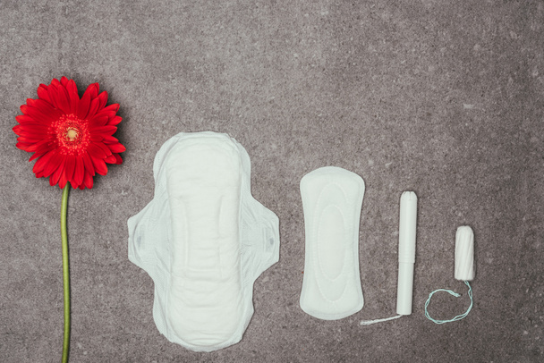 top view of arrangement of red flower, menstrual pads and tampons on grey surface - Photo, Image