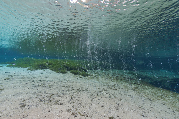 búvárok víz alatti barlangok búvárkodás Gabriella Springs Florida Amerikai Egyesült Államok - Fotó, kép