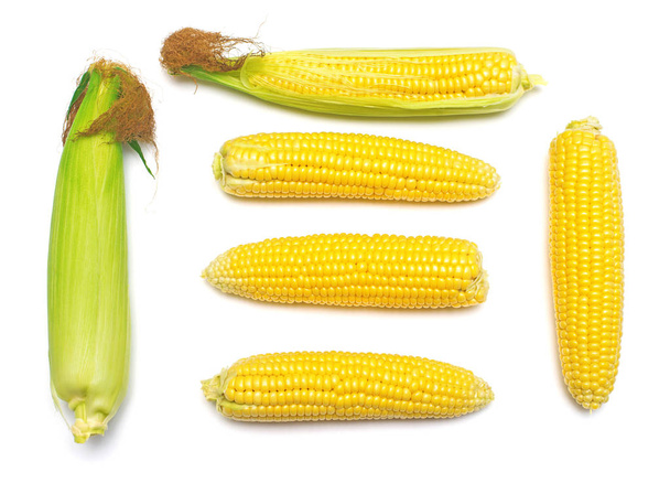 Kukurydza, ze skórą lub bez skóry na białym tle. Zbiór kukurydzy. Widok płaski świeckich, top - Zdjęcie, obraz