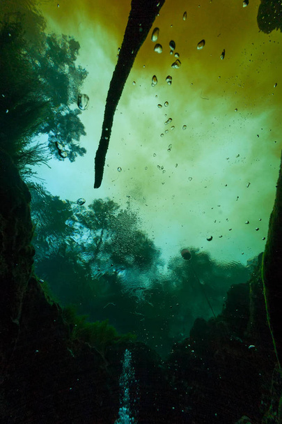 Taucher unterwasserhöhlen tauchen ginnie quellen florida usa - Foto, Bild