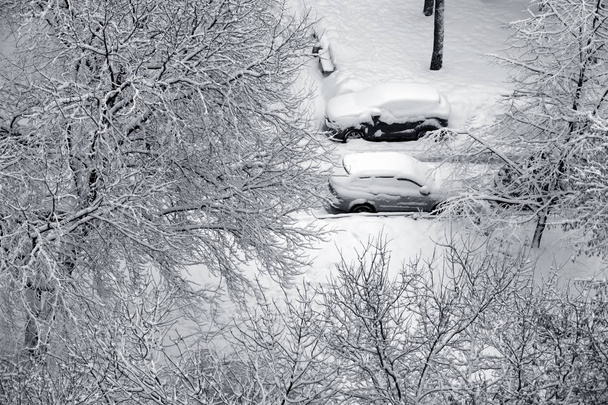Χειμερινοί κλάδοι και αυτοκίνητο καλυμμένο με χιόνι - Φωτογραφία, εικόνα