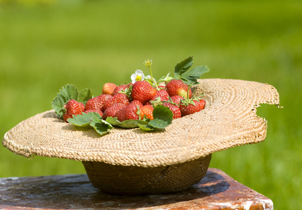 Sunhat with strawberry - Photo, Image
