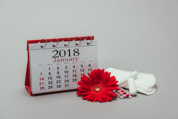 Nahaufnahme von Kalender, Blume, Pillen, Menstruationspolstern und Tampons isoliert auf grau - Foto, Bild