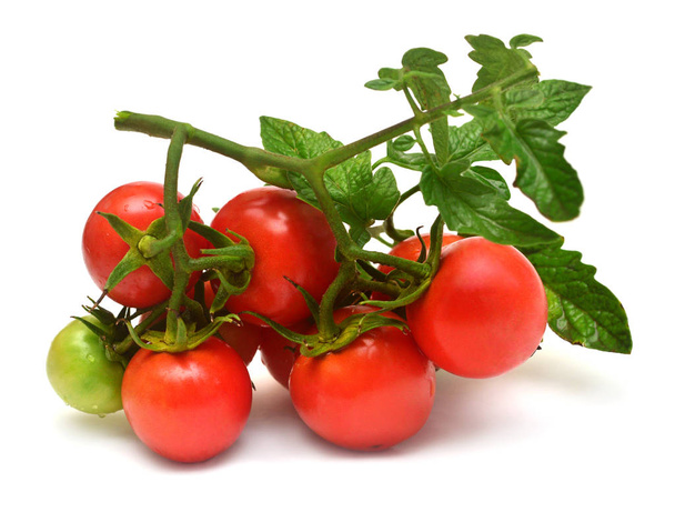 De vertakking van de rode tomaten geïsoleerd op een witte achtergrond. Groenten. Biologisch voedsel. Lekker en gezond. Plat lag, top uitzicht  - Foto, afbeelding