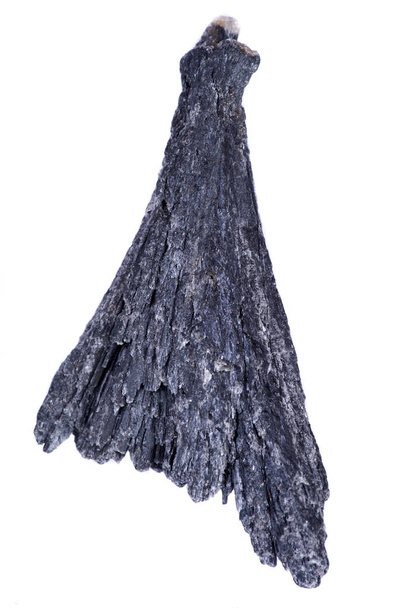 Abanico Kyanite negro bien definido de Brasil, aislado sobre fondo blanco
  - Foto, imagen