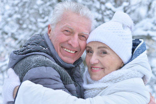 Happy senior couple at winter outdoors - Valokuva, kuva