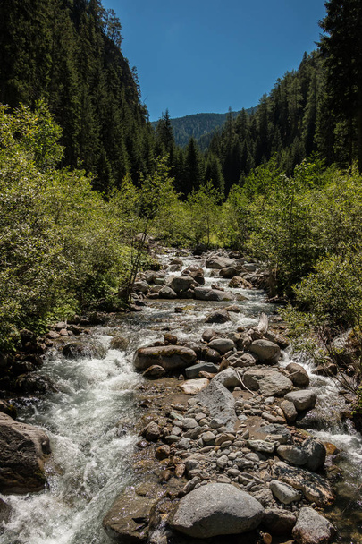 Wild creek, trees and big rocks in the canyon - Фото, зображення