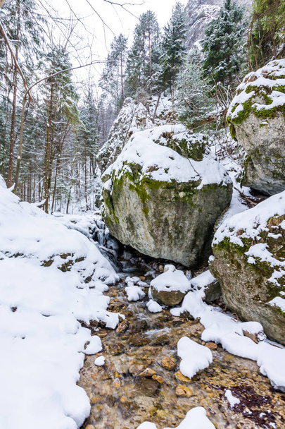 Slovakia national park Mala Fatra, Janosikove diery, Terchova - outdoor park in winter, paths in the snow, tourism and hiking - Photo, Image